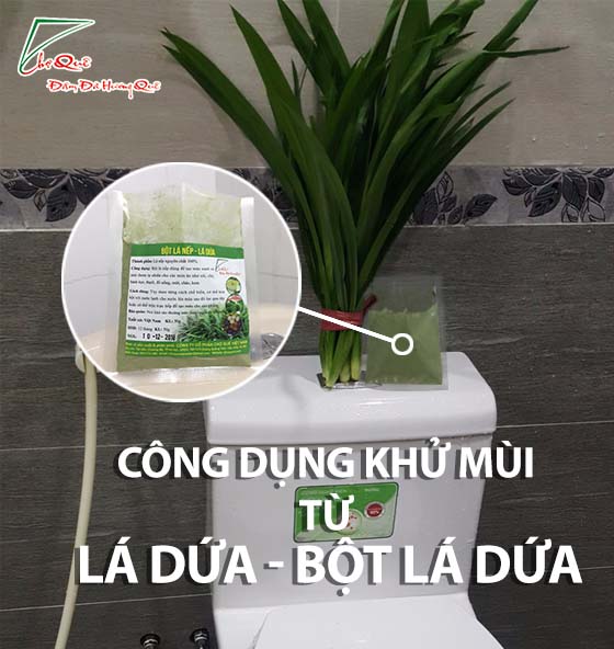 Cộng dụng của bột lá nếp, lá dứa